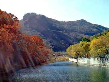 正新澳门二四六天天彩，范冰冰 苹果